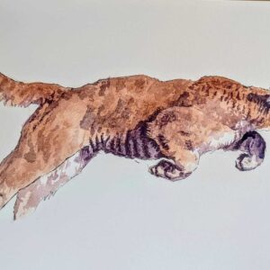 A4 - Leaping Mountain Lion - Pen & Watercolour on Paper