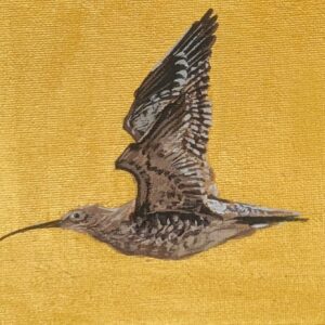 A4 - Bird in Flight - Oil on Canvas
