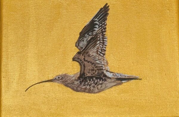 A4 - Bird in Flight - Oil on Canvas