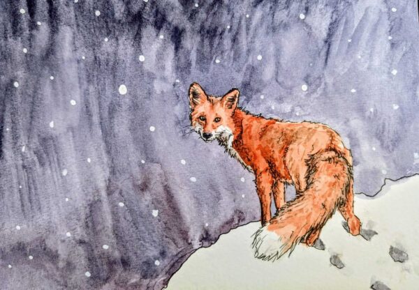 Christmas Card: Fox