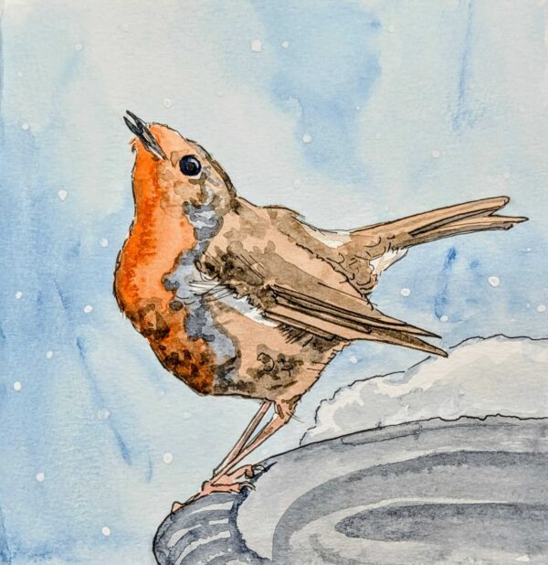Christmas Card: Robin