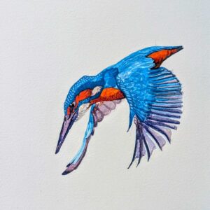 A4 - Kingfisher - Oil on Canvas