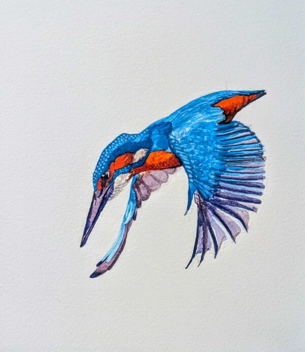 A4 - Kingfisher - Oil on Canvas