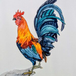 A4 - Resplendent Chap - Pen & Watercolour on Paper