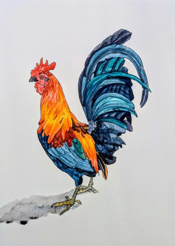 A4 - Resplendent Chap - Pen & Watercolour on Paper