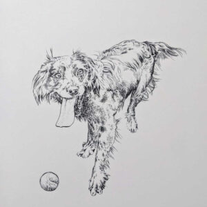 Commission: A4 Pen Drawing on Paper