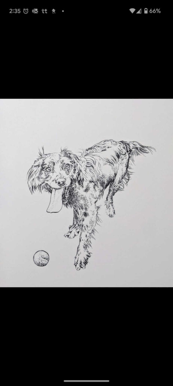 Commission: A4 Pen Drawing on Paper